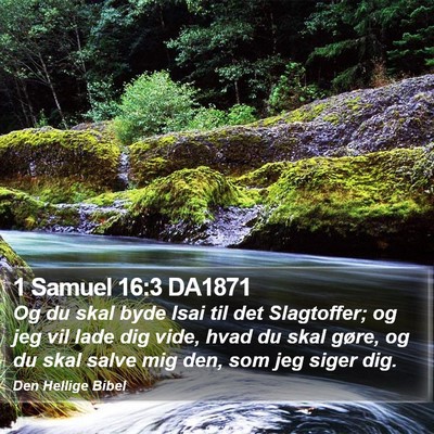 1 Samuel 16:3 DA1871 Bible Verse Image