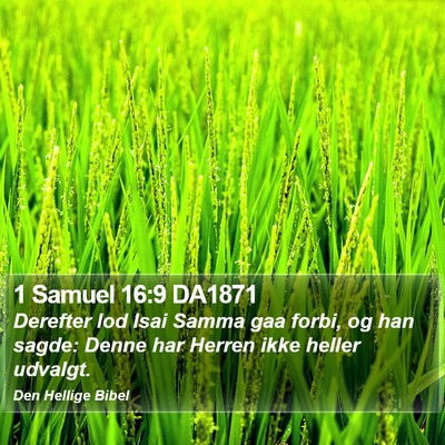 1 Samuel 16:9 DA1871 Bible Verse Image