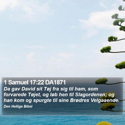 1 Samuel 17:22 DA1871 Bible Verse Image