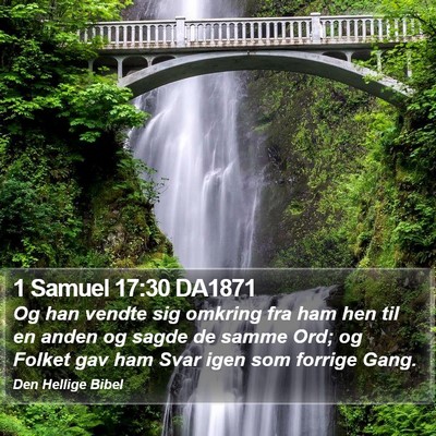 1 Samuel 17:30 DA1871 Bible Verse Image