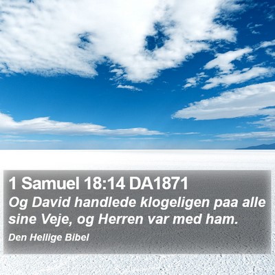 1 Samuel 18:14 DA1871 Bible Verse Image