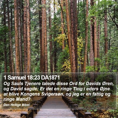 1 Samuel 18:23 DA1871 Bible Verse Image