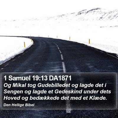 1 Samuel 19:13 DA1871 Bible Verse Image