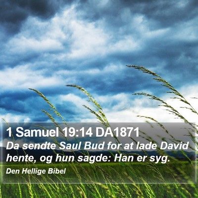 1 Samuel 19:14 DA1871 Bible Verse Image
