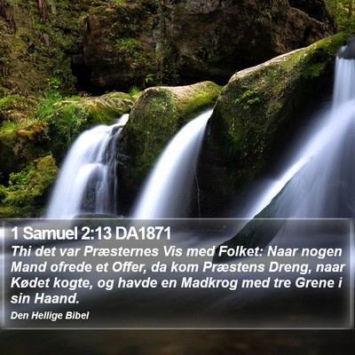 1 Samuel 2:13 DA1871 Bible Verse Image