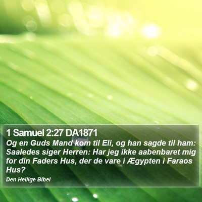1 Samuel 2:27 DA1871 Bible Verse Image