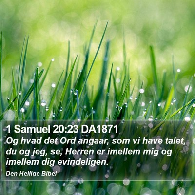 1 Samuel 20:23 DA1871 Bible Verse Image