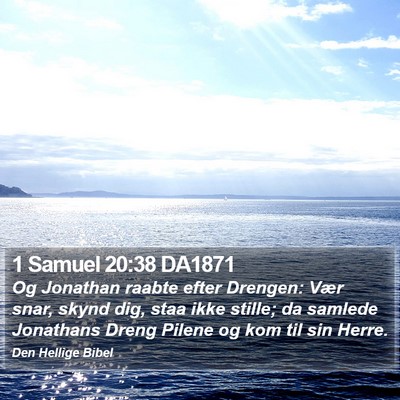 1 Samuel 20:38 DA1871 Bible Verse Image