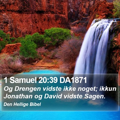 1 Samuel 20:39 DA1871 Bible Verse Image