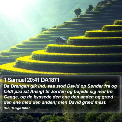 1 Samuel 20:41 DA1871 Bible Verse Image