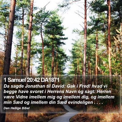 1 Samuel 20:42 DA1871 Bible Verse Image