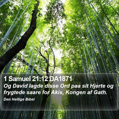 1 Samuel 21:12 DA1871 Bible Verse Image