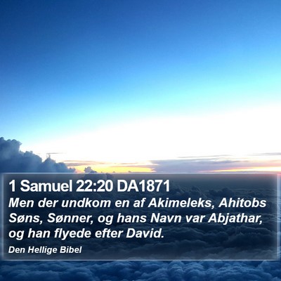 1 Samuel 22:20 DA1871 Bible Verse Image