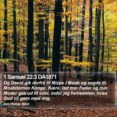 1 Samuel 22:3 DA1871 Bible Verse Image