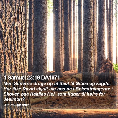 1 Samuel 23:19 DA1871 Bible Verse Image