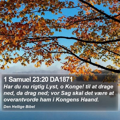 1 Samuel 23:20 DA1871 Bible Verse Image
