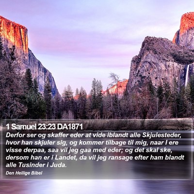 1 Samuel 23:23 DA1871 Bible Verse Image