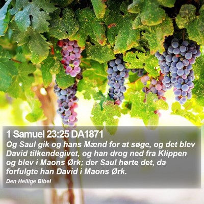 1 Samuel 23:25 DA1871 Bible Verse Image