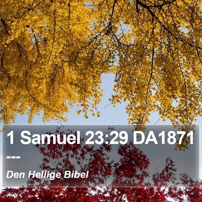 1 Samuel 23:29 DA1871 Bible Verse Image