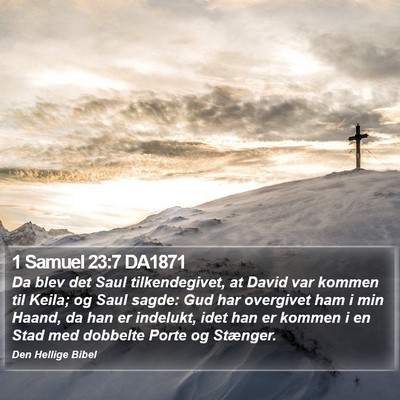 1 Samuel 23:7 DA1871 Bible Verse Image
