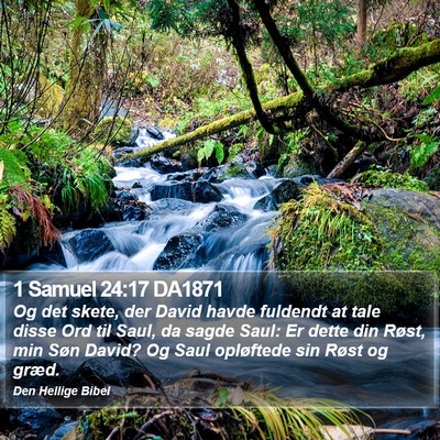 1 Samuel 24:17 DA1871 Bible Verse Image