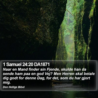 1 Samuel 24:20 DA1871 Bible Verse Image