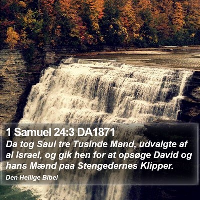 1 Samuel 24:3 DA1871 Bible Verse Image