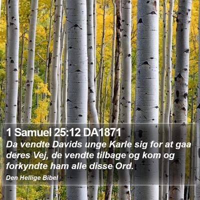 1 Samuel 25:12 DA1871 Bible Verse Image