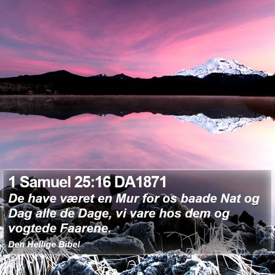 1 Samuel 25:16 DA1871 Bible Verse Image