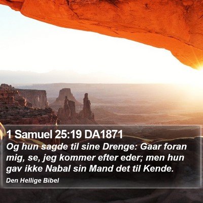 1 Samuel 25:19 DA1871 Bible Verse Image