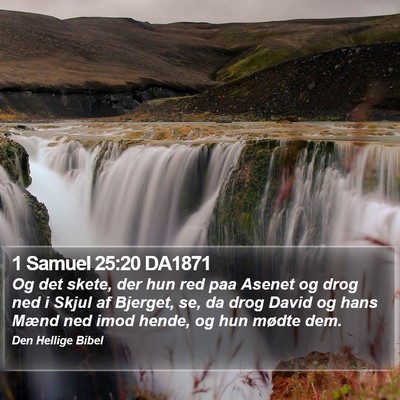 1 Samuel 25:20 DA1871 Bible Verse Image