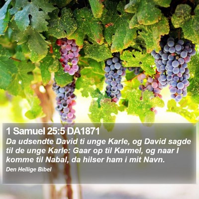 1 Samuel 25:5 DA1871 Bible Verse Image