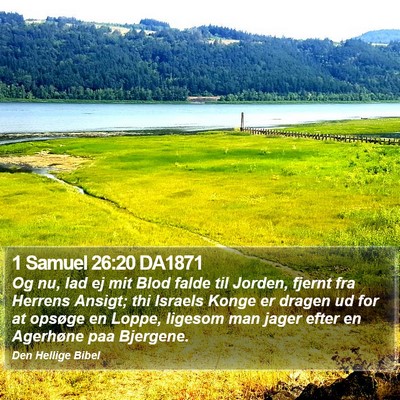 1 Samuel 26:20 DA1871 Bible Verse Image