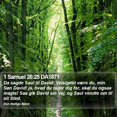 1 Samuel 26:25 DA1871 Bible Verse Image