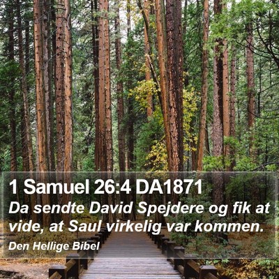 1 Samuel 26:4 DA1871 Bible Verse Image