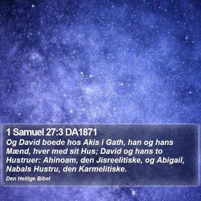 1 Samuel 27:3 DA1871 Bible Verse Image