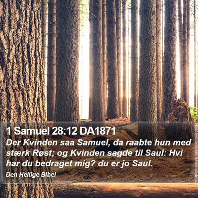 1 Samuel 28:12 DA1871 Bible Verse Image