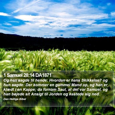1 Samuel 28:14 DA1871 Bible Verse Image