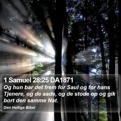1 Samuel 28:25 DA1871 Bible Verse Image
