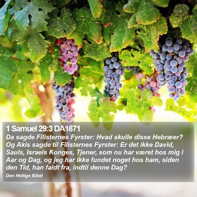 1 Samuel 29:3 DA1871 Bible Verse Image