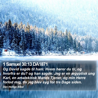 1 Samuel 30:13 DA1871 Bible Verse Image