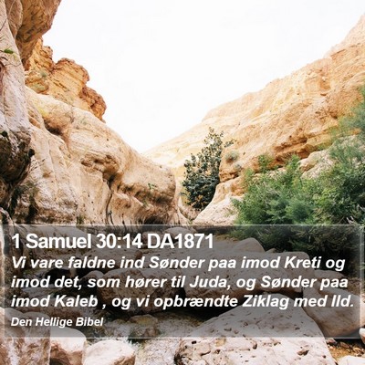 1 Samuel 30:14 DA1871 Bible Verse Image