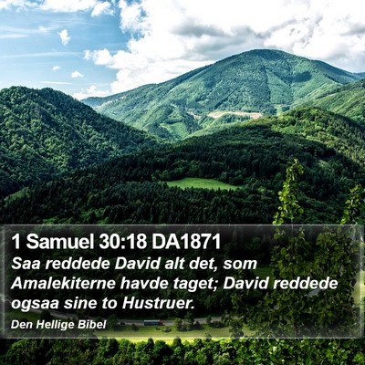 1 Samuel 30:18 DA1871 Bible Verse Image