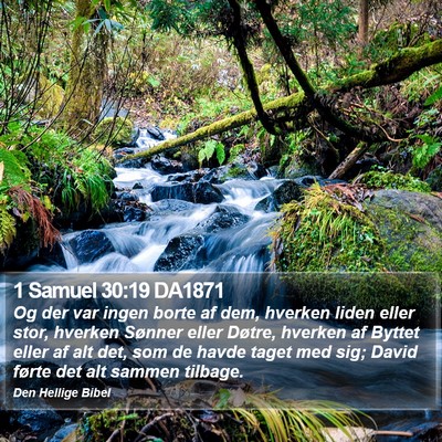 1 Samuel 30:19 DA1871 Bible Verse Image