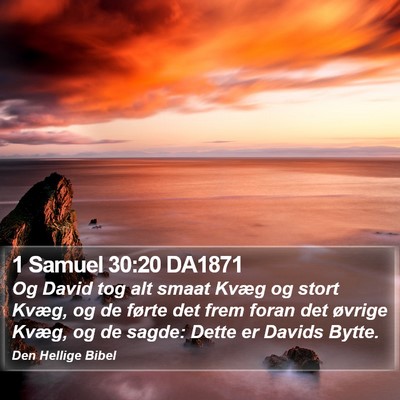 1 Samuel 30:20 DA1871 Bible Verse Image