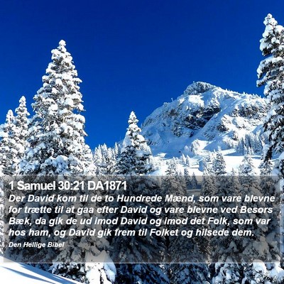1 Samuel 30:21 DA1871 Bible Verse Image