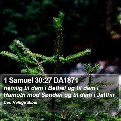 1 Samuel 30:27 DA1871 Bible Verse Image