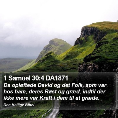 1 Samuel 30:4 DA1871 Bible Verse Image