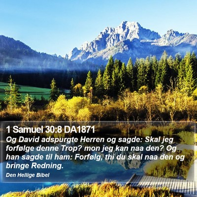 1 Samuel 30:8 DA1871 Bible Verse Image