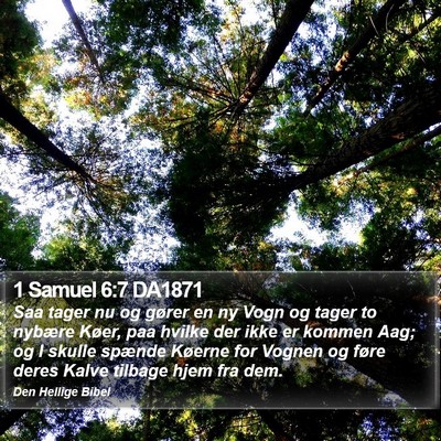 1 Samuel 6:7 DA1871 Bible Verse Image